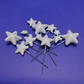 Faux Star/Heart